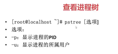 http://img.mukewang.com/5f9a38ba0001123907720351.jpg