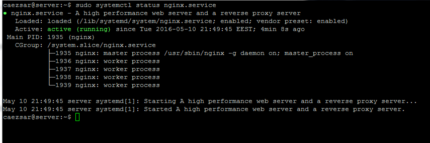 检查 Nginx 服务状态