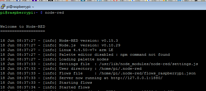 Launching Node-RED in Raspberry Pi